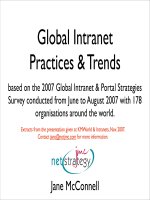 Nghiên cứu tình hình ứng dụng mạng nội bộ trên thế giới năm 2007