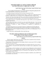 Tài liệu BÁO CÁO 