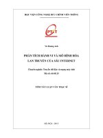 Phân tích hành vi và mô hình hóa lan truyền của sâu internet