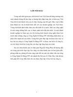 THỰC TRẠNG bộ máy HẠCH TOÁN kế TOÁN tại CÔNG TY CÔNG NGHỆ DI ĐỘNG FPT