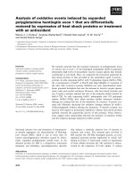 Tài liệu Báo cáo khoa học: Analysis of oxidative events induced by expanded polyglutamine huntingtin exon 1 that are differentially restored by expression of heat shock proteins or treatment with an antioxidant ppt