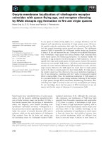 Tài liệu Báo cáo khoa học: Oocyte membrane localization of vitellogenin receptor coincides with queen ﬂying age, and receptor silencing by RNAi disrupts egg formation in ﬁre ant virgin queens ppt