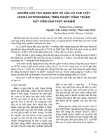 Tài liệu Nghiên cứu tác dụng bảo vệ của củ Tam Thất (Radix Nôtginseng) trên chuột cống trắng gây viêm gan thực nghiệm docx