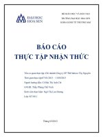 báo cáo thực tập nhận thức chi nhánh công ty cp tm sabeco tây nguyên