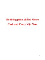Tài liệu Hệ thống phân phối sỉ Metro Cash and Carry Việt Nam doc