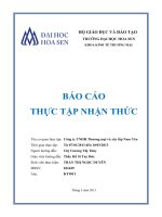 báo cáo thực tập nhận thức công ty tnhh thương mại và xây lắp nam yên