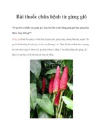 Tài liệu Bài thuốc chữa bệnh từ gừng gió doc