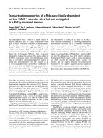 Tài liệu Báo cáo khoa học: Transactivation properties of c-Myb are critically dependent on two SUMO-1 acceptor sites that are conjugated in a PIASy enhanced manner pptx