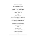 Tài liệu HANDBOOK OF THE TREES OF NEW ENGLAND WITH RANGES THROUGHOUT THE UNITED STATES AND CANADA ppt