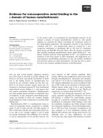 Tài liệu Báo cáo khoa học: Evidence for noncooperative metal binding to the a domain of human metallothionein ppt