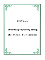 Tài liệu LUẬN VĂN: Thực trạng và phương hướng phát triển KTTT ở Việt Nam ppt
