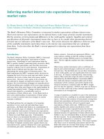 Tài liệu Inferring market interest rate expectations from money market rates pdf
