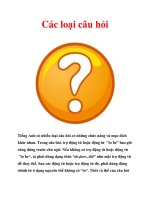 Tài liệu Các loại câu hỏi pot
