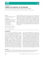 Tài liệu Báo cáo khoa học: miRNAs and regulation of cell signaling pptx
