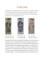 Tài liệu Tranh Sình pptx