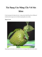 Tài liệu Tác Dụng Của Mãng Cầu Với Sức Khỏe pdf