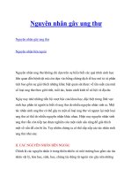 Tài liệu Nguyên nhân gây ung thư potx