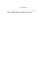 phát triển hoạt động tư vấn cổ phần hoá tại công ty chứng khoán phố wall 1