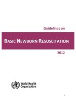 Tài liệu Guidelines on BASIC NEWBORN RESUSCITATION 2012 pdf