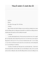 Tài liệu Thuyết minh về cành đào tết pdf