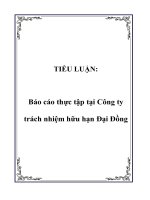 Tài liệu TIỂU LUẬN: Báo cáo thực tập tại Công ty trách nhiệm hữu hạn Đại Đồng doc