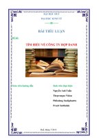 tiểu luận tìm hiểu về công ty hợp danh