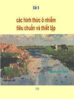 Tài liệu Đất 8 - các hình thức ô nhiễm tiêu chuẩn và thiết lập pptx