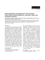 Tài liệu Pordeus Imm 94 Final pdf