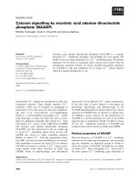 Tài liệu Báo cáo khoa học: Calcium signalling by nicotinic acid adenine dinucleotide phosphate (NAADP) doc