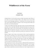 Tài liệu Wildflowers of the Farm ppt