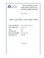 Báo cáo thực tập nhận thức Công ty TNHH Việt Thắng Luch I.