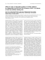 Tài liệu Báo cáo khoa học: Different modes of dipeptidyl peptidase IV (CD26) inhibition by oligopeptides derived from the N-terminus of HIV-1 Tat indicate at least two inhibitor binding sites doc
