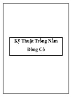 Tài liệu Kỹ Thuật Trồng Nấm Đông Cô ppt