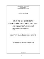 QUẢN TRỊ rủi RO tín DỤNG tại NGÂN HÀNG PHÁT TRIỂN VIỆT NAM – CHI NHÁNH THỪA THIÊN HUẾ