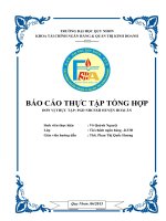 Tài liệu BÁO CÁO THỰC TẬP TỔNG HỢP ĐƠN VỊ THỰC TẬP: PGD NHCSXH HUYỆN HOÀI ÂN potx