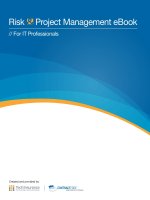 Tài liệu Risk & Project Management eBook // For IT Professionals ppt