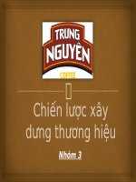 Chiến lược xây dưng thương hiệu cafe trung nguyên