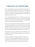 Tài liệu Lường trước rủi ro bất khả kháng ppt