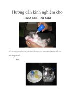 Tài liệu Hướng dẫn kinh nghiệm cho mèo con bú sữa pdf