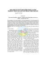 Tài liệu HÀM LƯỢNG CÁC YẾU TỐ DINH DƯỠNG TRUNG, VI LƯỢNG TRONG ĐẤT TRỒNG CHÈ VÀ BÚP CHÈ TRÊN ĐẤT PHIẾN THẠCH SÉT docx