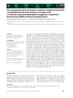 Tài liệu Báo cáo khoa học: The crystal structure of human a-amino-b-carboxymuconatee-semialdehyde decarboxylase in complex with 1,3-dihydroxyacetonephosphate suggests a regulatory link between NAD synthesis and glycolysis ppt