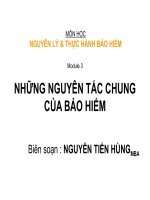 Tài liệu NHỮNG NGUYÊN TẮC CHUNG CỦA BẢO HIỂM pptx