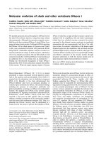 Tài liệu Báo cáo khoa học: Molecular evolution of shark and other vertebrate DNases I pptx