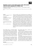 Tài liệu Báo cáo khoa học: Oxidative stress in the hippocampus after pilocarpineinduced status epilepticus in Wistar rats doc