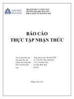 Báo cáo thực tập nhận thức Tổng công ty may Nhà Bè - CTCP