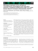 Tài liệu Báo cáo khoa học: Homologous expression of the nrdF gene of Corynebacterium ammoniagenes strain ATCC 6872 generates a manganese-metallocofactor (R2F) and a stable tyrosyl radical (Y•) involved in ribonucleotide reduction ppt