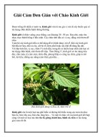 Tài liệu Giải Cảm Đơn Giản với Cháo Kinh Giới doc