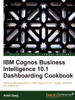 Tài liệu IBM Cognos Business Intelligence 10.1 Dashboarding Cookbook pdf