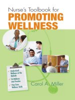 Tài liệu Nurse’s Toolbook for Promoting Wellness docx