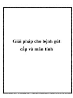 Tài liệu Giải pháp cho bệnh gút cấp và mãn tính potx
